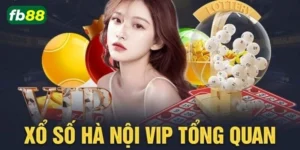 xổ số hà nội vip nền tảng xổ số mới