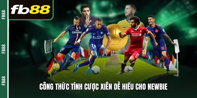 Công thức tính cược xiên dễ hiểu cho newbie