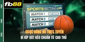 Cá cược bóng rổ