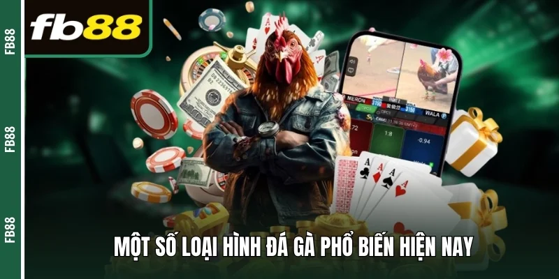 Một số loại hình chọi gà thường thấy hiện nay