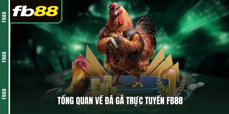 Tổng quan về đá gà trực tuyến FB88
