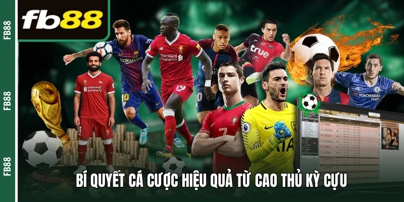 Bí quyết cá cược hiệu quả từ cao thủ kỳ cựu 